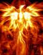 Phoenix13